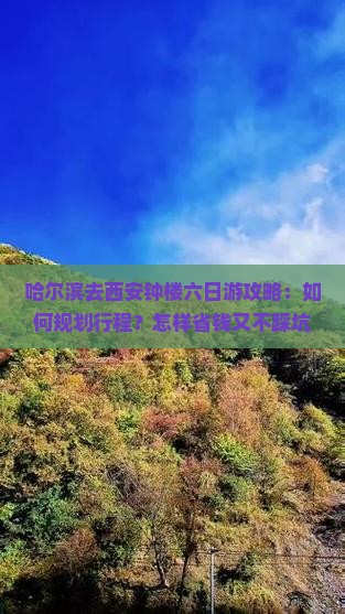 哈尔滨去西安钟楼六日游