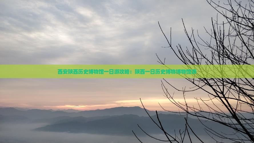 日照到西安陕西历史博物馆一日游