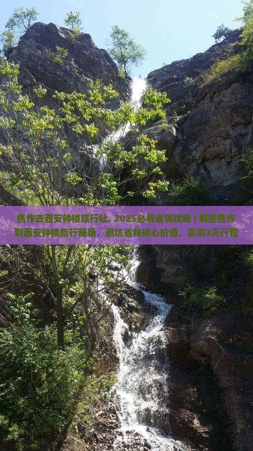 焦作去西安钟楼旅行社