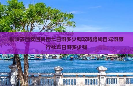 铜陵去西安回民街七日游