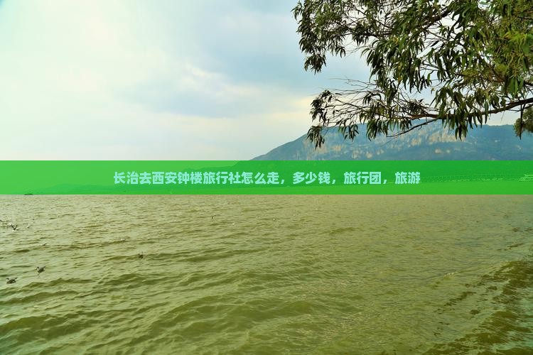 长治去西安钟楼旅行社