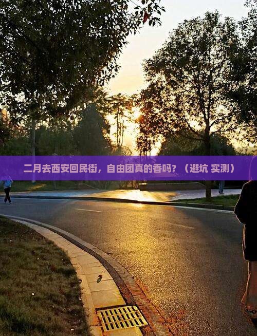 二月到西安回民街自由团