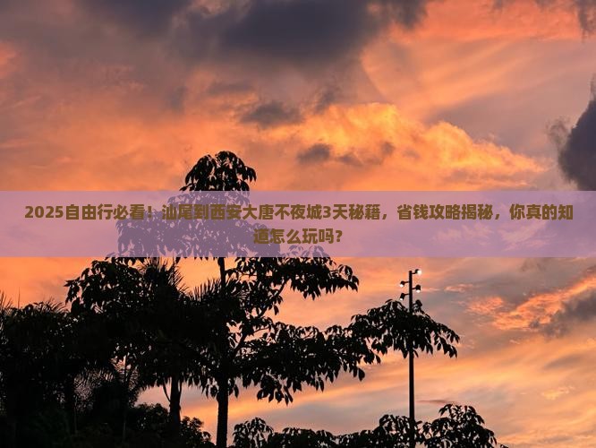 汕尾到西安大唐不夜城自由行
