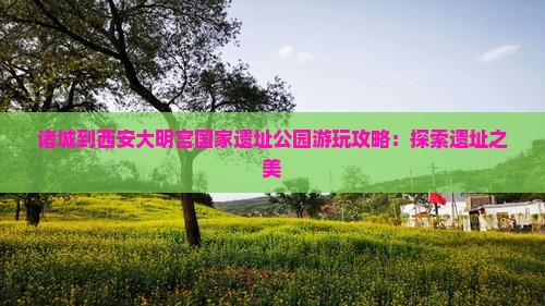诸城到西安大明宫国家遗址公园哪里玩