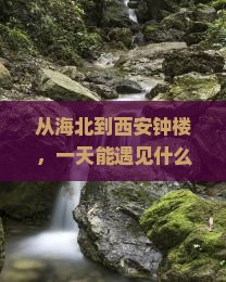 海北到西安钟楼一日游