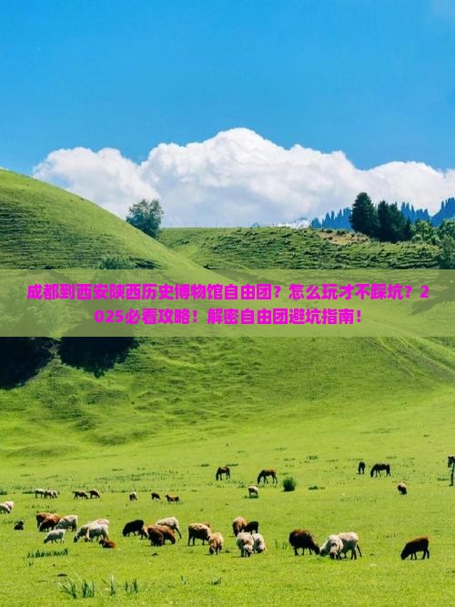 成都到西安陕西历史博物馆自由团