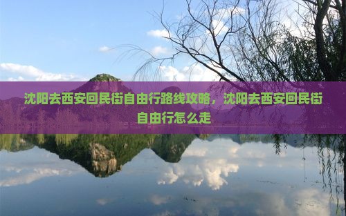 沈阳去西安回民街自由行