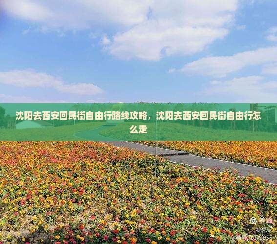 沈阳去西安回民街自由行
