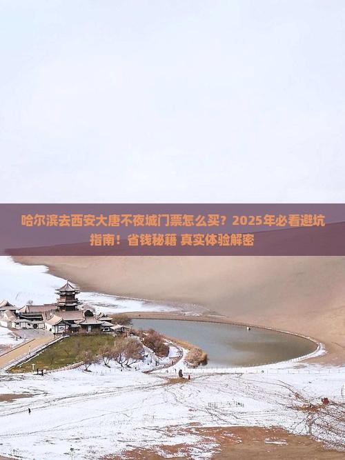 哈尔滨去西安大唐不夜城门票