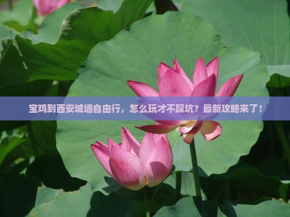 宝鸡到西安城墙自由行