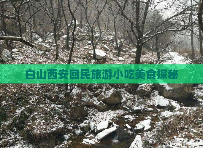 白山去西安回民街旅游小吃