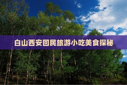 白山去西安回民街旅游小吃