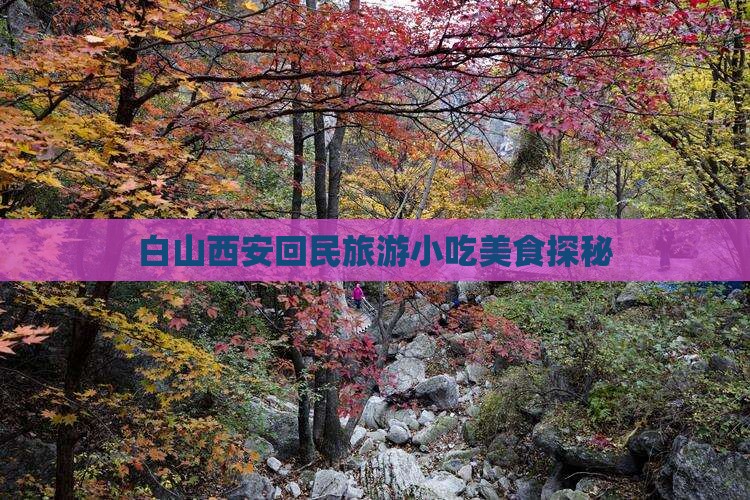 白山去西安回民街旅游小吃