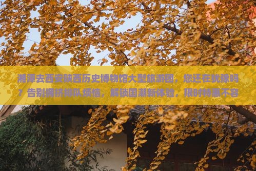 湘潭去西安陕西历史博物馆大型旅游团