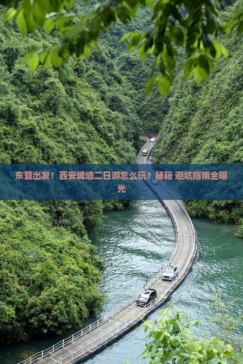 东营去西安城墙二日游