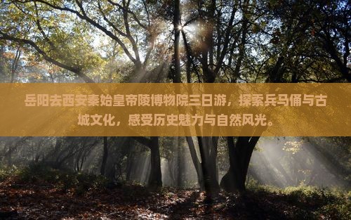 岳阳去西安秦始皇帝陵博物院三日游