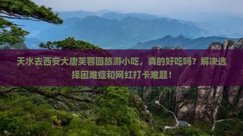 天水去西安大唐芙蓉园旅游小吃