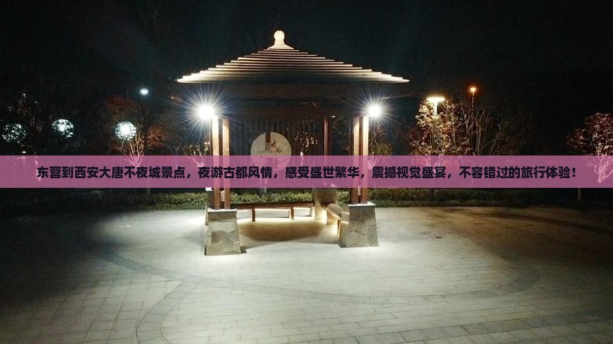 东营到西安大唐不夜城景点