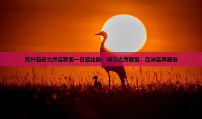 嘉兴去西安大唐芙蓉园一日游