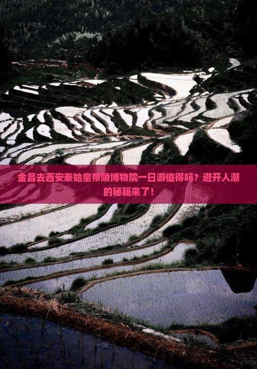 金昌去西安秦始皇帝陵博物院一日游
