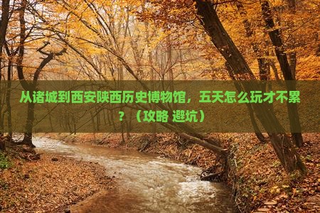 诸城到西安陕西历史博物馆五日游
