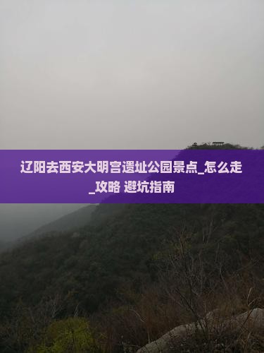 辽阳去西安大明宫国家遗址公园景点