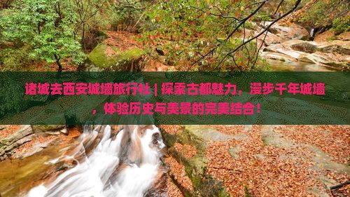 诸城去西安城墙旅行社