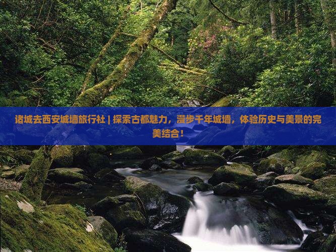 诸城去西安城墙旅行社
