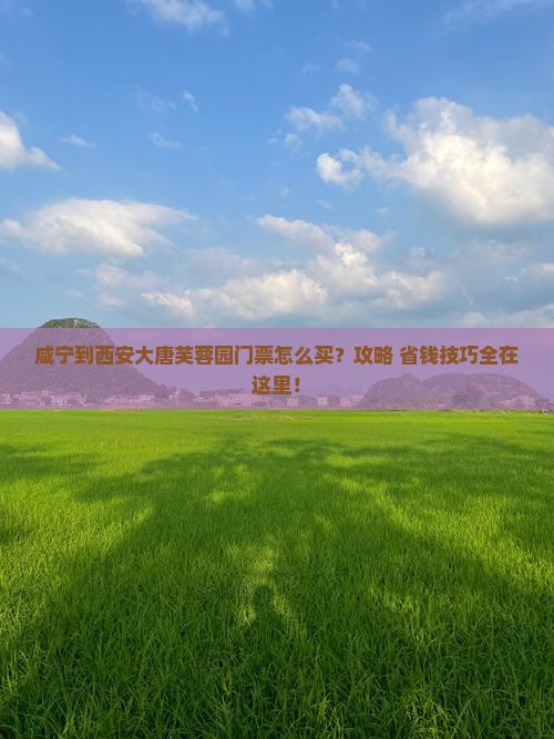 咸宁到西安大唐芙蓉园门票 咸宁到西安大唐芙蓉园门票
