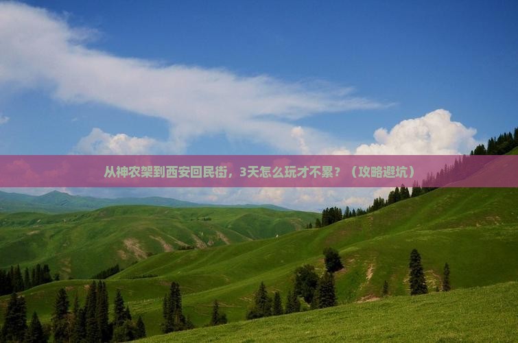 神农架去西安回民街哪里玩