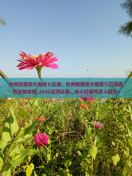 台州到西安大雁塔七日游