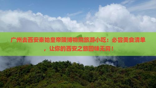 广州去西安秦始皇帝陵博物院旅游小吃