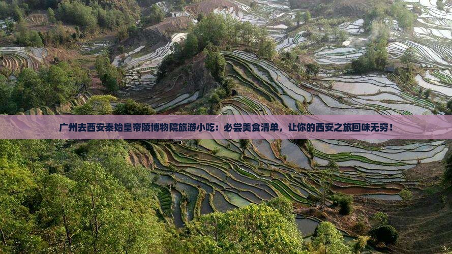 广州去西安秦始皇帝陵博物院旅游小吃