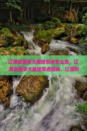 辽源去西安大雁塔景点