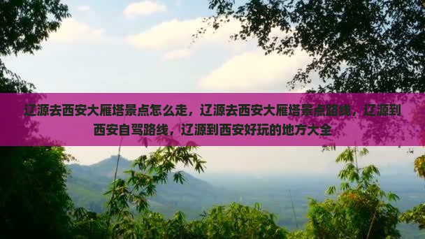辽源去西安大雁塔景点