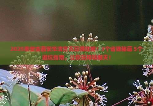 泰安去西安华清宫五日游