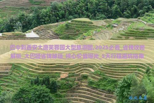 巴中到西安大唐芙蓉园大型旅游团