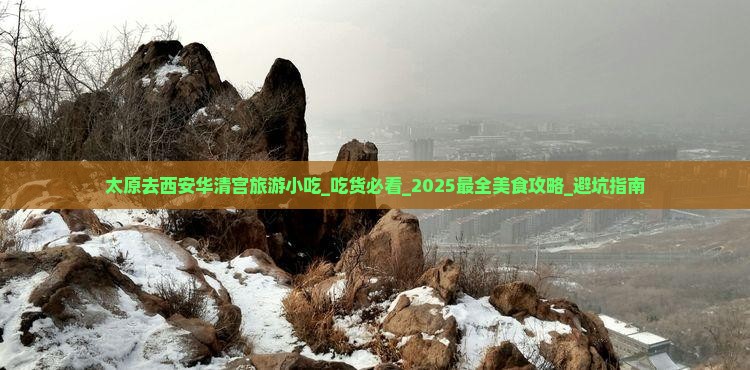 太原去西安华清宫旅游小吃