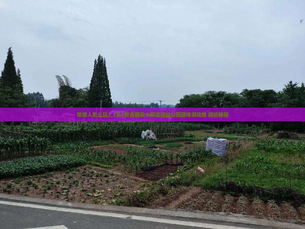 常德去西安大明宫国家遗址公园团体旅游