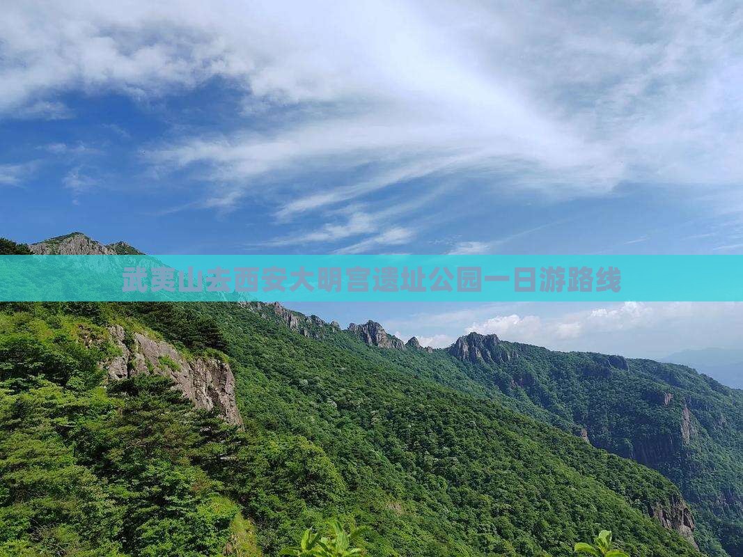 武夷山去西安大明宫国家遗址公园一日游