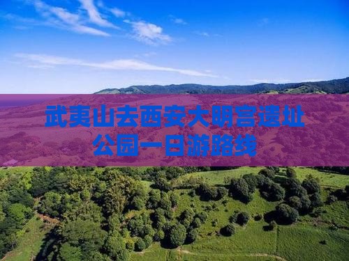 武夷山去西安大明宫国家遗址公园一日游