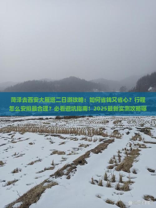 菏泽去西安大雁塔二日游