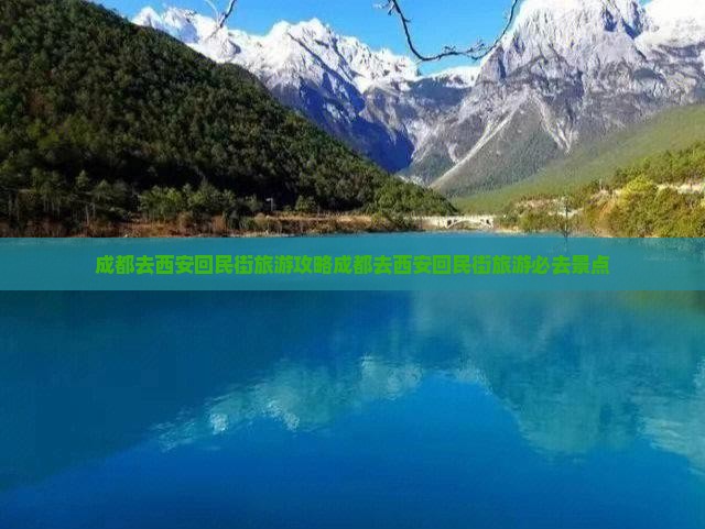 成都去西安回民街旅游