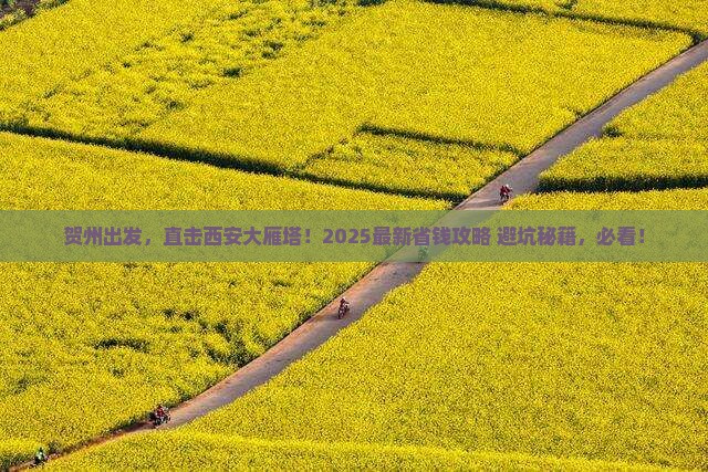 贺州到西安大雁塔旅行社