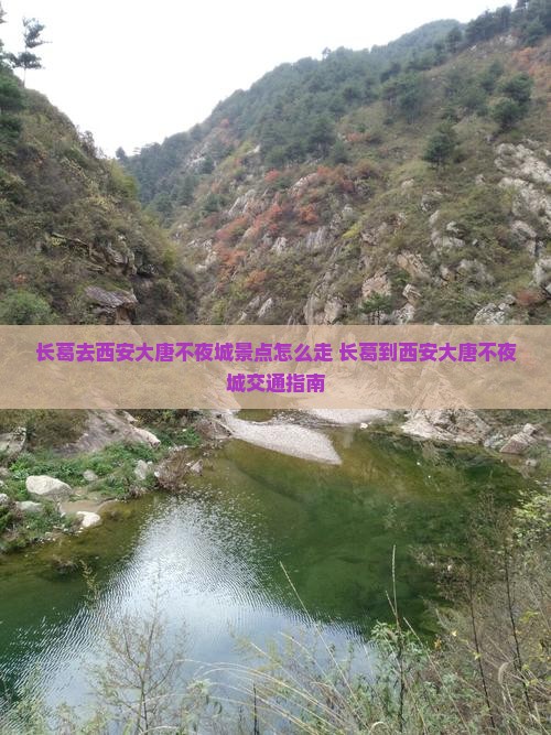 长葛去西安大唐不夜城景点 长葛去西安大唐不夜城景点