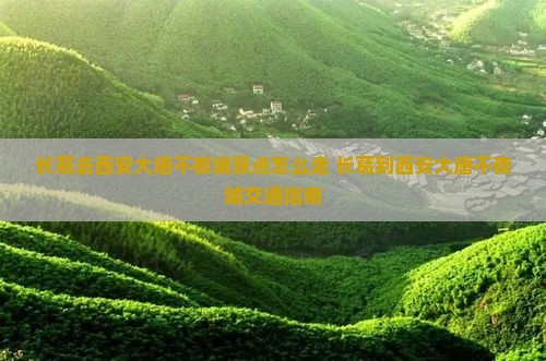 长葛去西安大唐不夜城景点 长葛去西安大唐不夜城景点