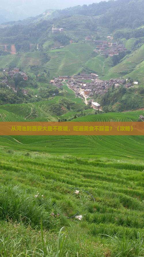 河池到西安大唐不夜城旅游小吃