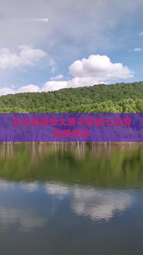 长治到西安大唐不夜城七日游