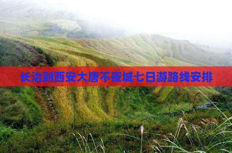 长治到西安大唐不夜城七日游