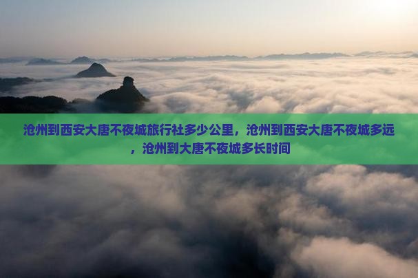 沧州到西安大唐不夜城旅行社